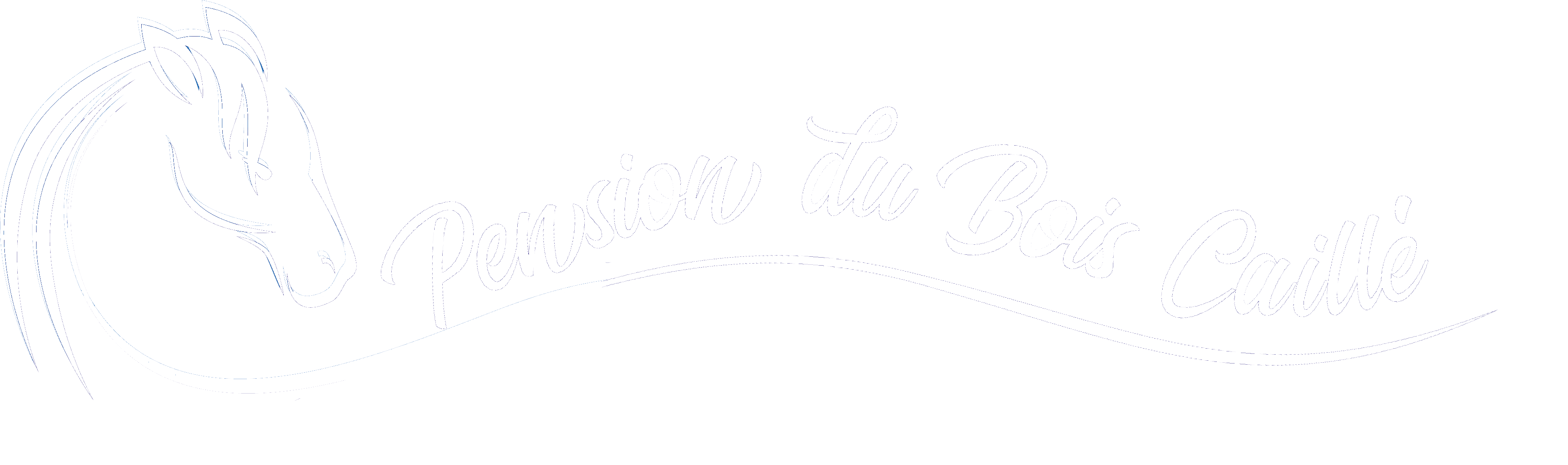 Logo Pension du Bois Caillé